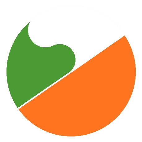 SOMO Wheel